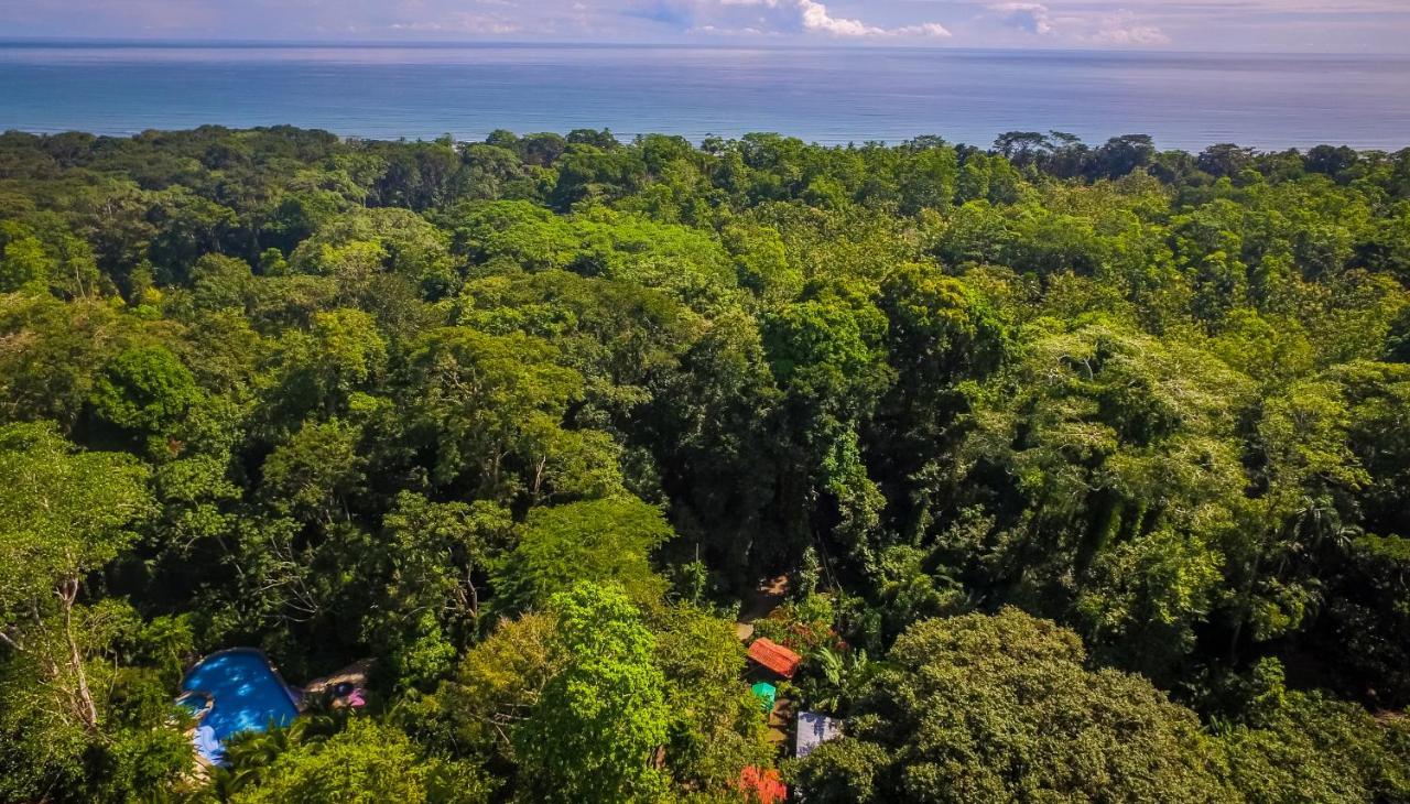 The Goddess Garden Eco-Resort Cahuita Exterior photo