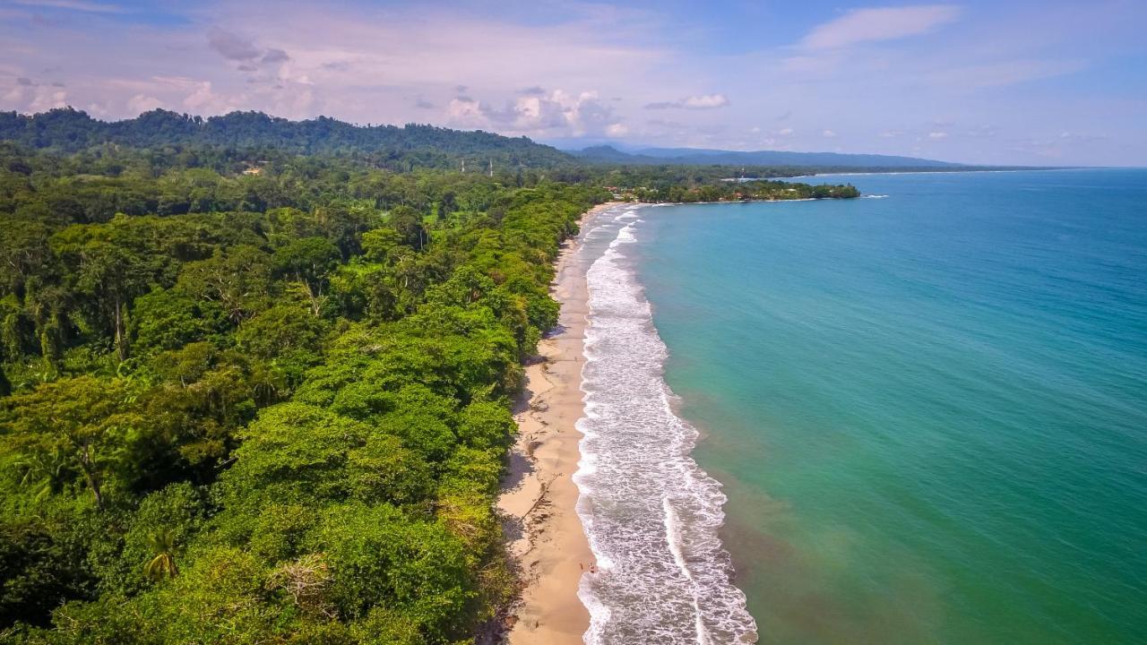 The Goddess Garden Eco-Resort Cahuita Exterior photo