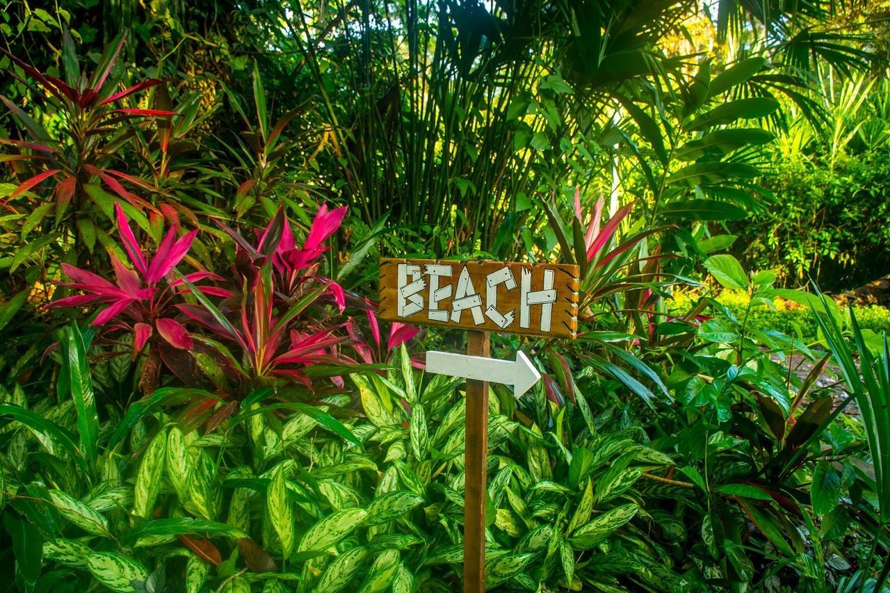 The Goddess Garden Eco-Resort Cahuita Exterior photo